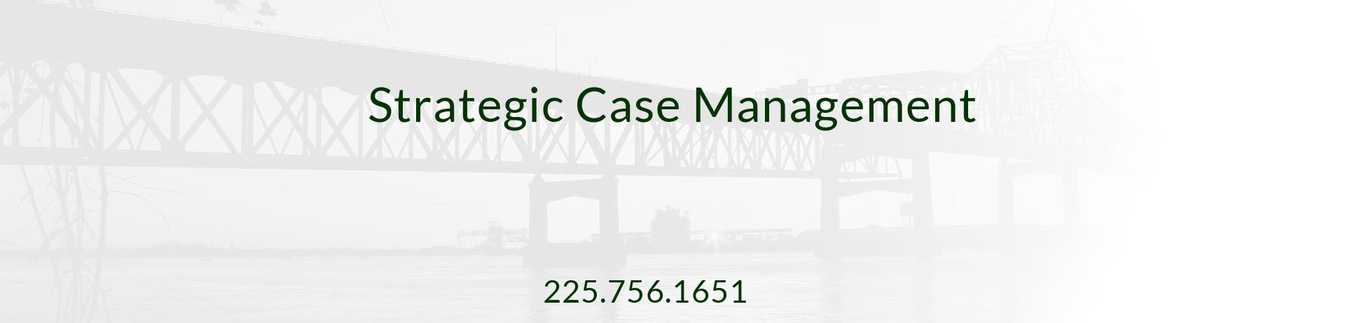 Strategic Case Management - Case Management Companies